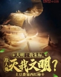 大明我朱标打钱免费