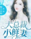 大总裁,小鲜妻!