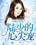 闪婚后，我成了陆少的心尖宠