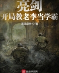 电视机穿梭亮剑开局支援老李