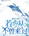 若你从不曾来过歌曲原唱