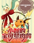 小智的宝可梦肉鸽