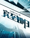 宾至如归