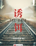 诱饵小说免费阅读全文