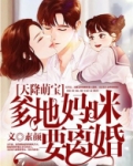 天降萌宝爹地妈咪要离婚短剧