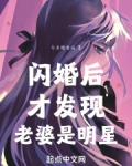 闪婚后才发现老婆是天后