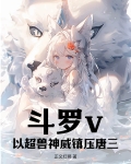 斗罗大陆之超神
