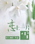 恋上一片雪全文完整版