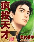 风投天才小说