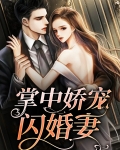 掌中娇宠闪婚妻阮诗诗