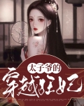 穿越太子有点狂电视