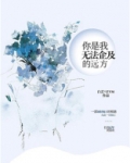 你是我无法企及的远方小说