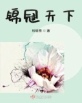 锦冠天下免费阅读
