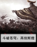 斗破苍穹然后