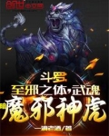 斗罗：至邪之体，武魂暗魔邪神虎