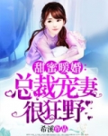 总裁宠妻很狂野小说