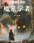 霍格沃茨之我的顶尖魔法理解