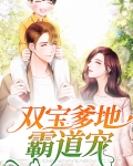 双宝爹地别过来免费全集观看