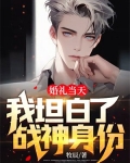 婚礼当天，我坦白了战神身份！