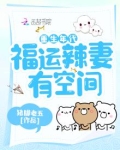 重生年代:福运辣妻有空间 百度云