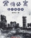 爱情公寓不离不弃