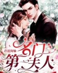 占爱不婚:名门第一夫人