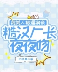 病美人重生夜