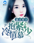 金主高度宠妻