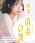暖妻成瘾甜宠总裁小说