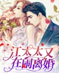 顾先生太太又闹离婚了
