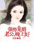 强势宠婚:老公,晚上好下载