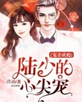 宠妻成瘾：陆少的心尖宠