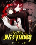 校花的贴身仙尊