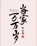 当家万万岁男主是谁