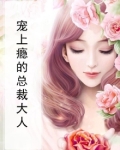 总裁宠上瘾下载