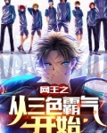 网王之从网王成神 小说