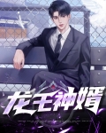 龙王神婿免费阅读