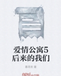 爱情公寓以后再也没有了