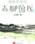 知青岁月之赤脚兽医 小说