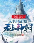 全民县令:从零开始打造无上神朝! 灰鸽鸽