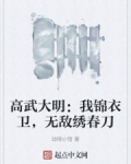 高武锦衣卫类小说