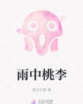 雨中桃李花图片