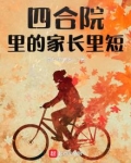 四合院里的家长里短小说