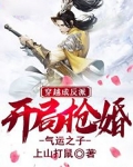 穿越成反派,开局抢婚气运之子txt