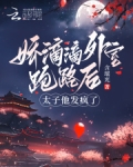 娇滴滴外室跑路后,太子他发疯了