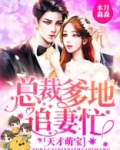 天才萌宝:总裁爹地追妻忙