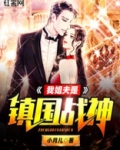 我姐夫是镇国战神