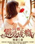 闪婚成瘾电视剧免费观看