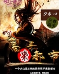 高手都市叶开