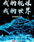 我的舰娘,我的世界书